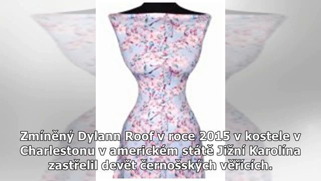 Inspiroval jsem se Breivikem, přiznal vrah z novozélandských mešit смотреть онлайн