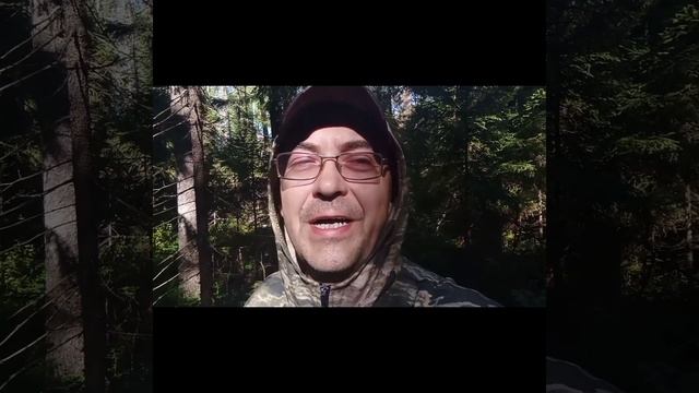 Консервация зелёного горошка. Собираем чернику. Общий обзор огорода. смотреть онлайн