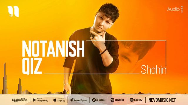 Shahin - Notanish qiz (audio 2022) смотреть онлайн