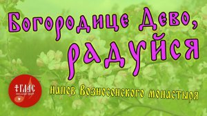 Молитва "Богородице Дево, радуйся"  | Напев Вознесенского монастыря #vpglas