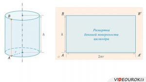 Видеоурок по математике "Цилиндр"