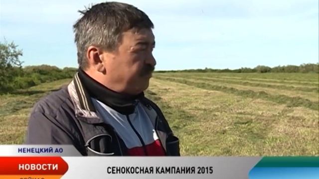 Кормозаготовительная кампания в Ненецком округе вышла на финишную прямую смотреть онлайн