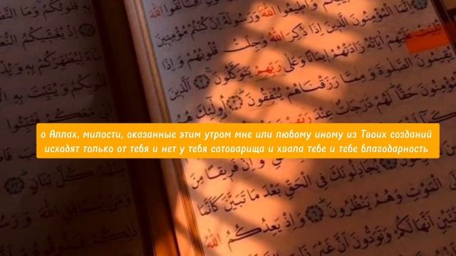 ДУА УТРОМ И ВЕЧЕРОМ, произноси эти слова каждый день #ислам #намаз #дуа #мусульмане #аллах #аят смотреть онлайн
