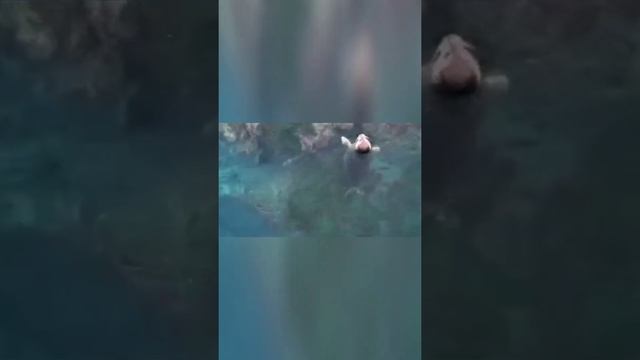 Сахалинская модель с хвостом. Нерпа позирует и покоряет tik tok #shorts смотреть онлайн