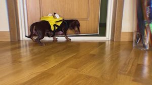 ТОСЯ ВСЕ-ТАКИ УШЛА ИЗ ДОМА?