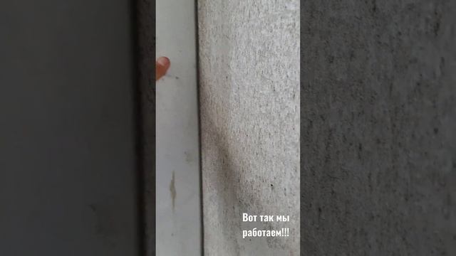 Высококачественная штукатурка. город в Твери