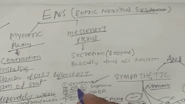 structure of GIT and ENS functions смотреть онлайн