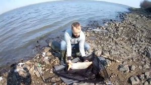 КАРПФИШИНГ на Амуре. Ловим САЗАНА на РЕКЕ.