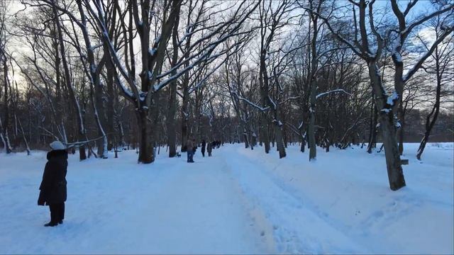 С Новым 2022 годом !!! - релакс прогулка по заснеженному парку. смотреть онлайн