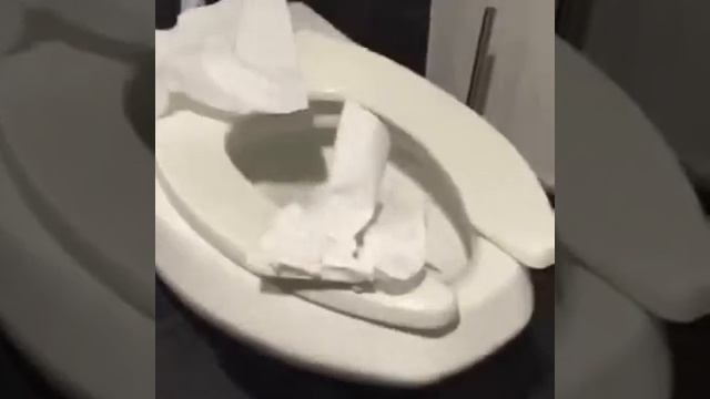 Почему девочки ходят в туалет парами смотреть онлайн