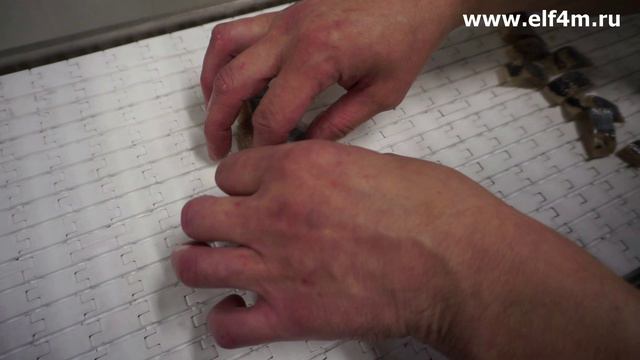 Устройство нарезки рыбы с модульным транспортером, лазерным указателем и разделителем частей рыбы. смотреть онлайн