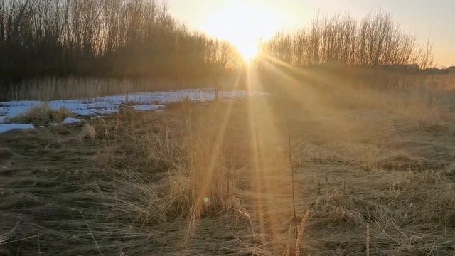 Поиски границ земельного участка. смотреть онлайн