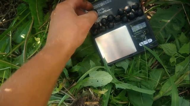 СМОРОДИНА СОРТА.Сорт черной смородины Лентяй меня удивил смотреть онлайн