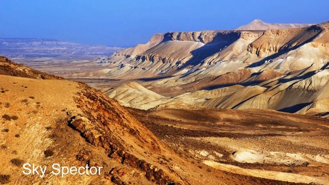 Притчи Дзен. Дзен Выхухоля. Сборник историй, сказок и притч смотреть онлайн