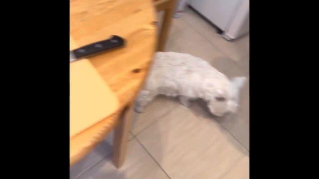 Тайны Кухни