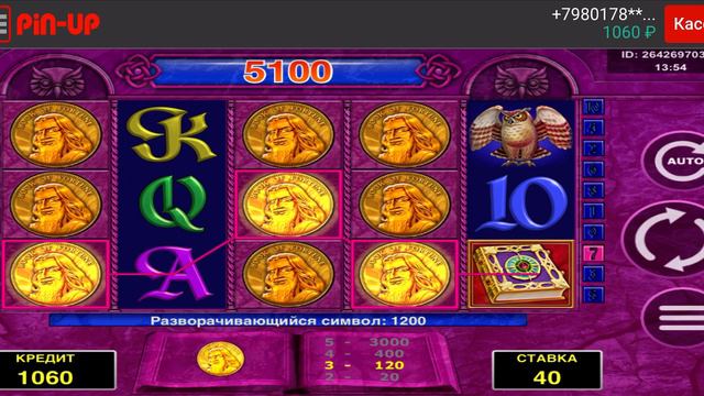 Book of Fortune, по 40 рублей Х211 смотреть онлайн