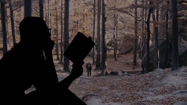 How To Become A Wildlife Photographer With Full Information? – [Hindi] – Quick Support