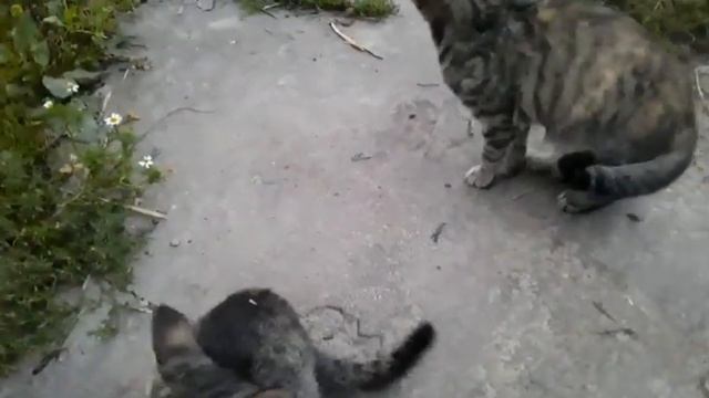 Заблудилась в днях , они со мной играют , а я с ними смотреть онлайн