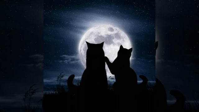 Тёплая ночь смотреть онлайн