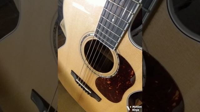 Cort Gold Oc8 Acoustic Guitar Zoom R 20 Multi Track Recorder смотреть онлайн