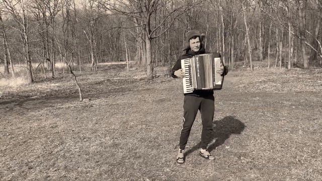 Катюша/Katyusha - Acordeon cover/ Аккордеон смотреть онлайн