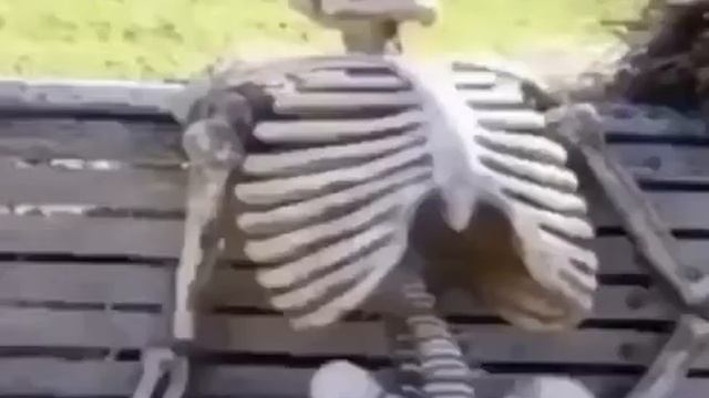 Roblox Kaspers Hub V1 Cracked (Reupload) смотреть онлайн