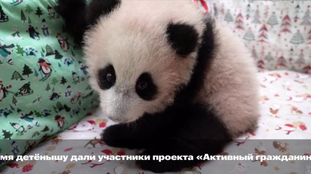 IMG_3592 смотреть онлайн