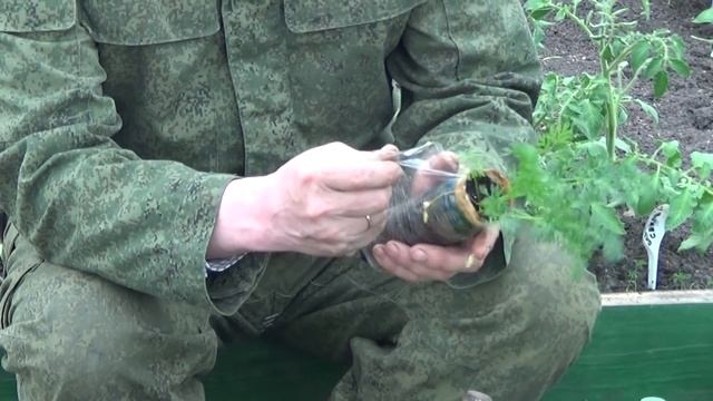 Выращивание моркови через рассаду. 2015 год. смотреть онлайн