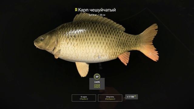 #рр4 #русская рыбалка 4 #rf4 озеро #медвежье 18.09.22 смотреть онлайн