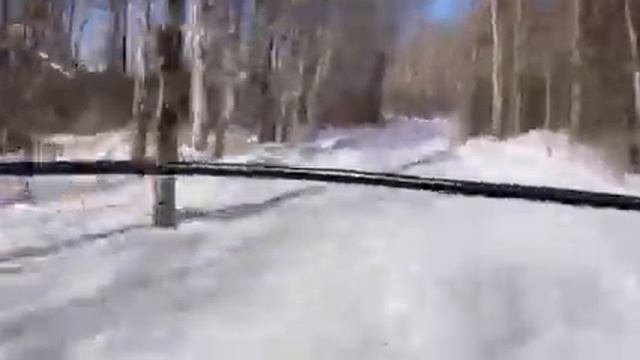 Ski Doo Elite riding a nice trail смотреть онлайн