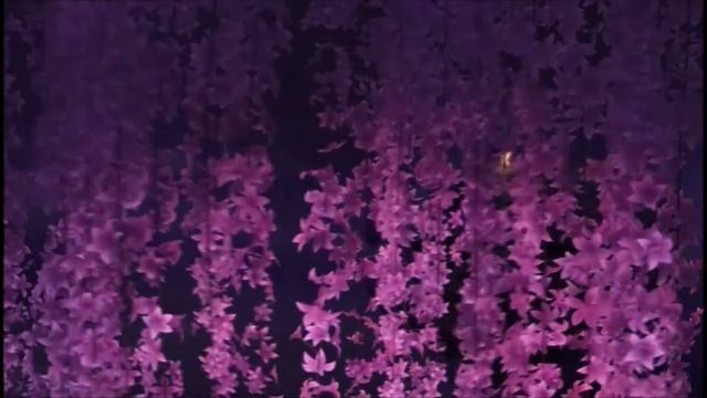 Феї і легенда загадкового звіра - солодких снів смотреть онлайн