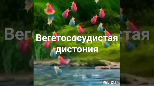 ?Целительная матрица Гаряева.Вегетососудистая дистония. ?