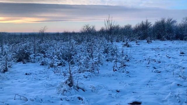 Новодмитриевская: лучшая станица в пригороде Краснодара! смотреть онлайн