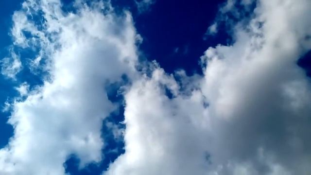 Лара Колясникова... Мы любим для того, чтоб жить... Стихи смотреть онлайн