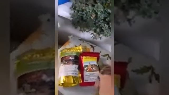 Бактерии для тёплой подстилки «Ряба» от «Biohelper»(для домашней птицы) смотреть онлайн