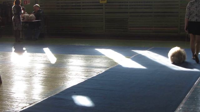 MVI 8644 смотреть онлайн