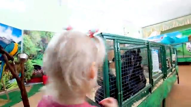 ЭкЗоферма Зоопарк для детей 😂 Вику чуть не поймал Енот///ВЛОГ Viki Pikki смотреть онлайн