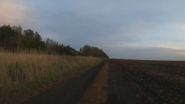 Виноград, поездка к калине, дырокол для рамок. смотреть онлайн