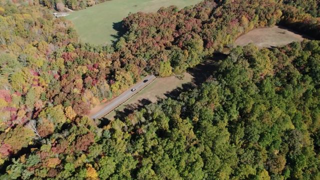 469-Mile Fly Fishing Roadtrip Across The Blue Ridge Parkway