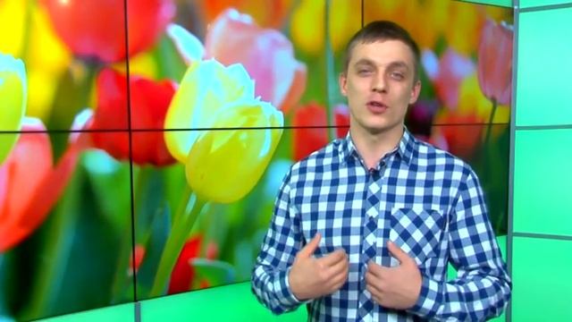 Поздравления с 8 марта Сергей Дмитриев смотреть онлайн