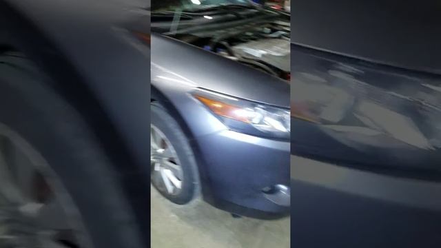 2010 Accord trans..flush смотреть онлайн