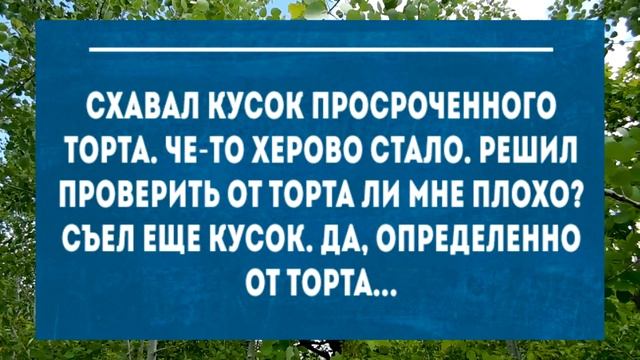 Самые Смешные анекдоты /Юмор дня./Приколы./Позитив. смотреть онлайн
