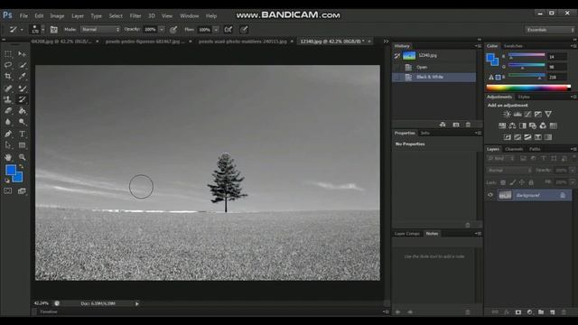 Photoshop Tutorial in Bangla Class: 8 । Clone stamp tool, History brush tool, Eraser tool....? смотреть онлайн