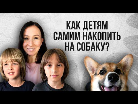 Дети хотят купить собаку? Как научить ребенка обращаться с деньгами и планировать бюджет смотреть онлайн