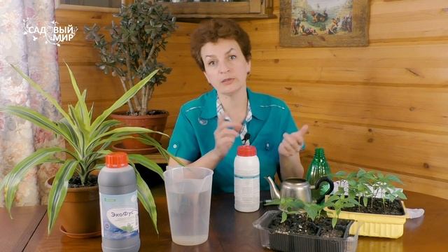 Рассада застыла: ни туда - ни сюда. Почему плохо растет рассада томатов и перцев смотреть онлайн