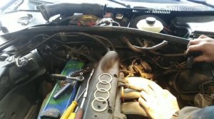 Дросельная заслонка Audi a4, как снять, куда лезть, куда не надо лезть.