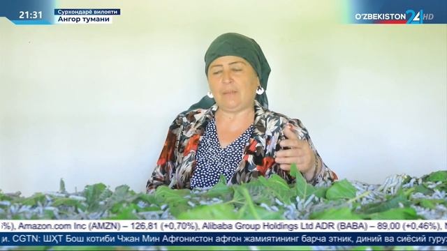 Сурхондарё вилоятида хитойлик ҳамкорлар билан ташкил этилган янги корхона смотреть онлайн