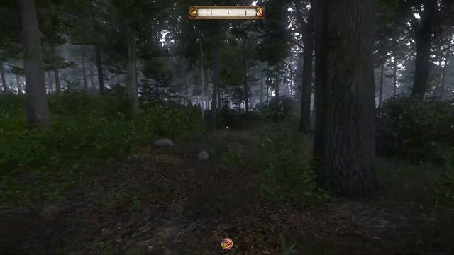 Kingdom Come: Deliverance (Hardcore Henry playthrough) - Part 8 - Hunting competition! смотреть онлайн