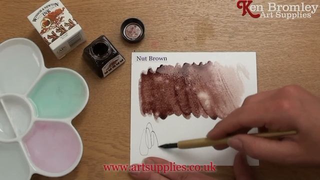 Winsor & Newton Drawing Ink Nut Brown 441 смотреть онлайн