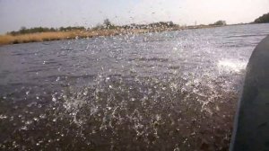 Юкона 280 GT и Suzuki DF 2.5